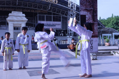 IMG_0795-1-scaled-Small