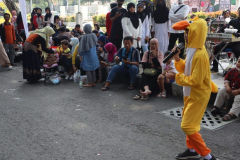 IMG_0851-1-scaled-Small