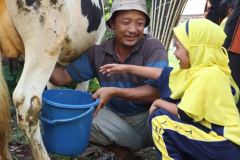 77-SALAH-SATU-SISWI-MEMPERAKTEKAN-CARA-MEMERAH-SUSU