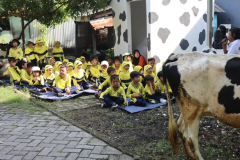 79-SISWA-SISWI-MENDENGARKAN-PENJELASAN-TENTANG-SAPI-PERAH