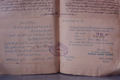 Untitled-TrueColor-05