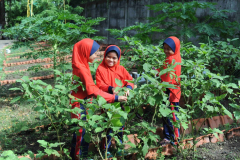 DSC_7256-compres-scaled