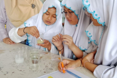 IMG_20240910_142220-scaled